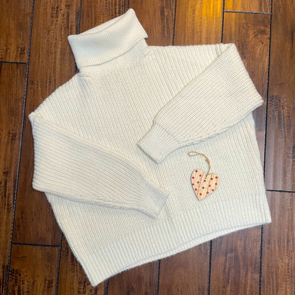 H&M Turtleneck Sweater